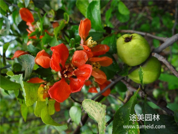 http://m.zddc650.cn/ch/30.html