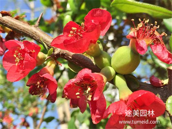 http://m.zddc650.cn/ch/30.html